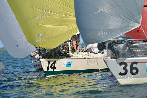 2019 J24 Worlds G_1105