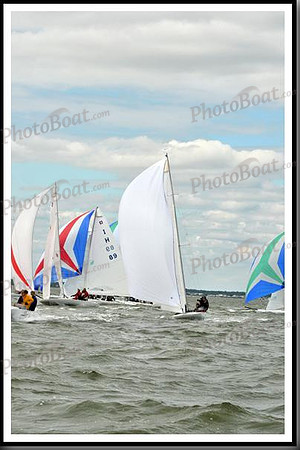 proof_2010_EScows_A 1585