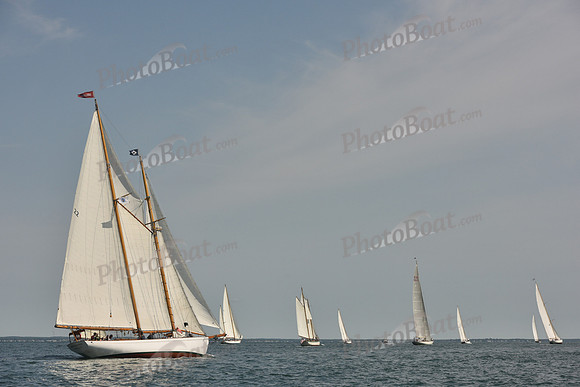 2018 Vineyard Cup A_0099