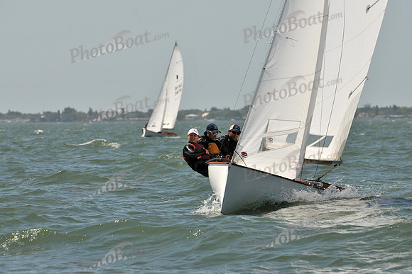 2012 Thistle Midwinters B 1202