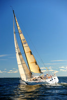 2014 Vineyard Race A 804