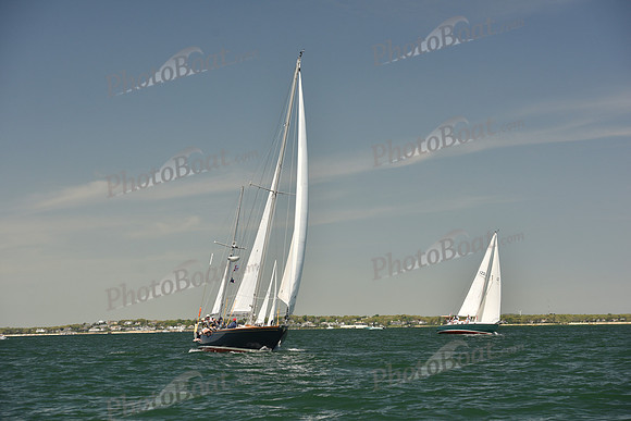 2024 Figawi 0245