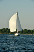 2015 Gov Cup C 1241