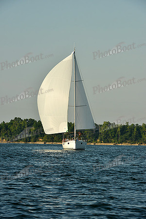 2015 Gov Cup C 1241