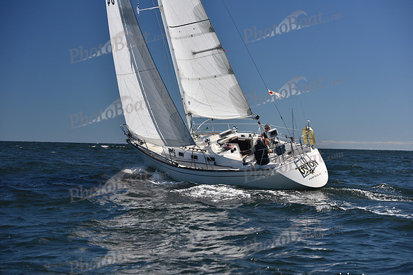 2022 Vineyard Race A_0254
