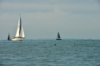 2016 Southern Bay Race Week E_0047