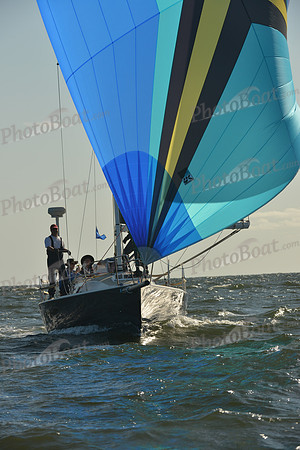 2015 Vineyard Race C 010