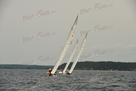 2016 Chester Race Week C_1071