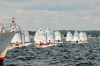 2011 Opti Area C 075