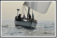 proof_2010 Block Island Race 526