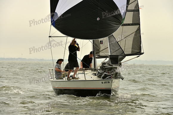 2016 Southern Bay Race Week A_0399