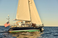 2016 Newport Bermuda Race_2810