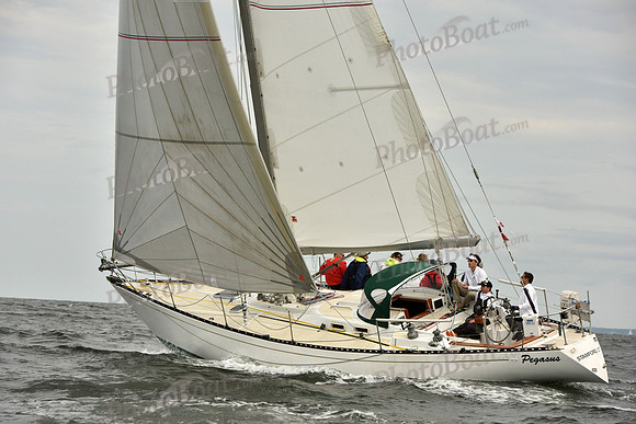 2018 Vineyard Race A_2294
