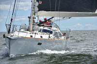 Next Boat