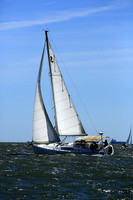 2014 Southern Bay Race Week DB3 036