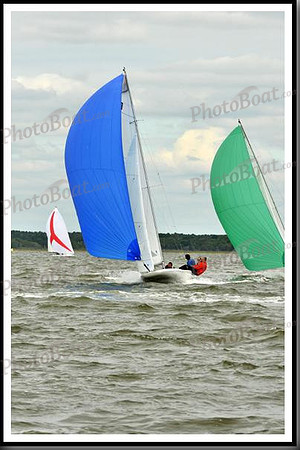 proof_2010_EScows_A 812