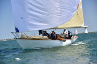 2019 Figawi_1196