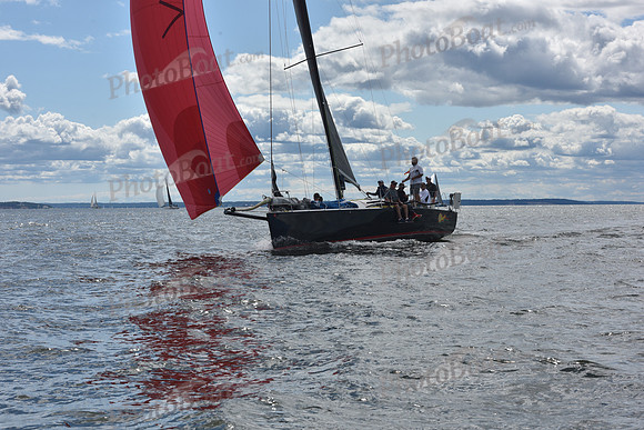2021 Vineyard Race A 1888