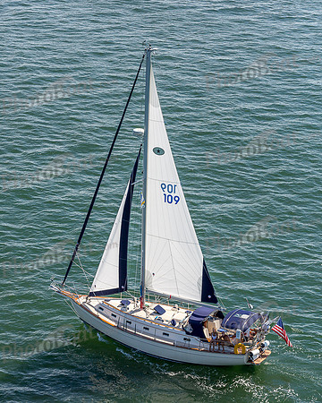 DBP_1378