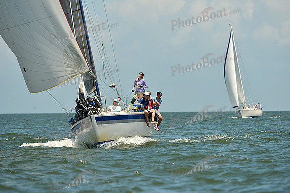 2015 Southern Bay Race Week C 1569