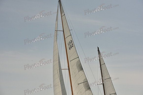 2018 Vineyard Cup A_0349