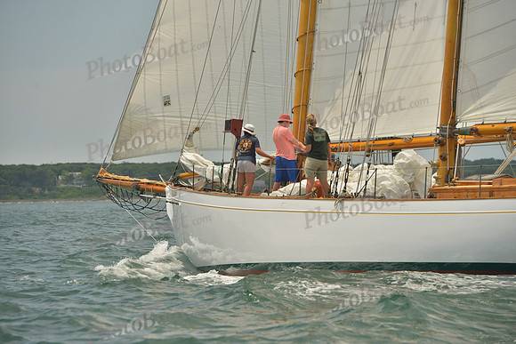 2018 Vineyard Cup B_0256