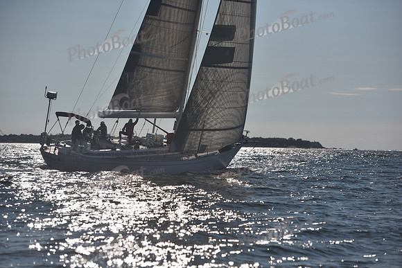 2021 Vineyard Race B 2566