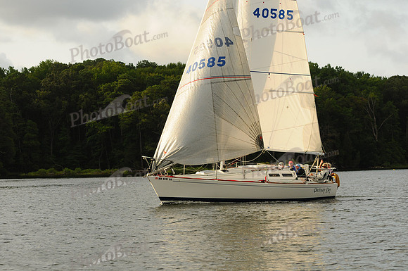 2011 Gov Cup C 559