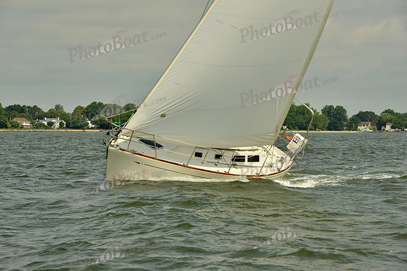 2016 Southern Bay Race Week G_0162