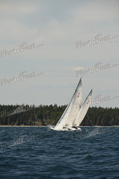 2016 Chester Race Week A_1163