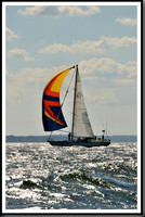 proof_2010_Vineyard_Race_1192