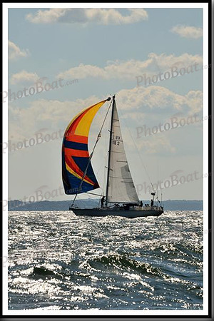 proof_2010_Vineyard_Race_1192