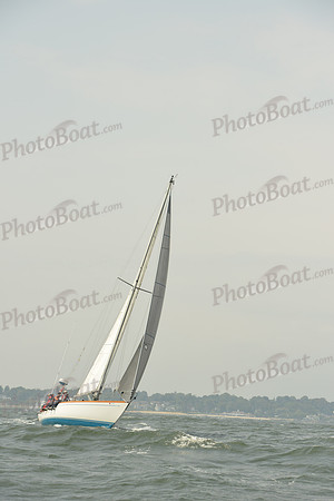 2015 Vineyard Race A 1011