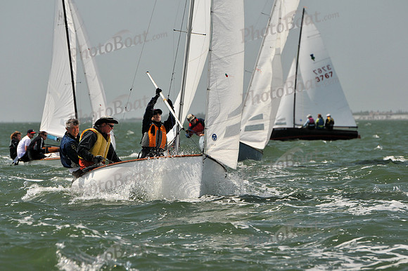 2012 Thistle Midwinters B 1167