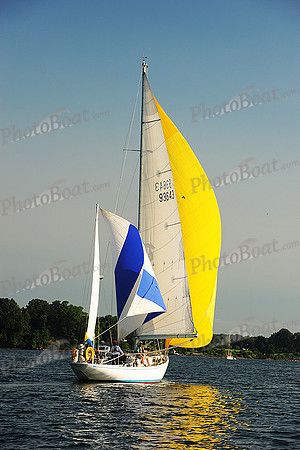 2015 Gov Cup D 237