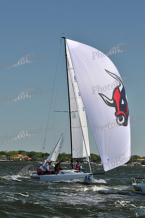 2014 J70 Winter Series G 365