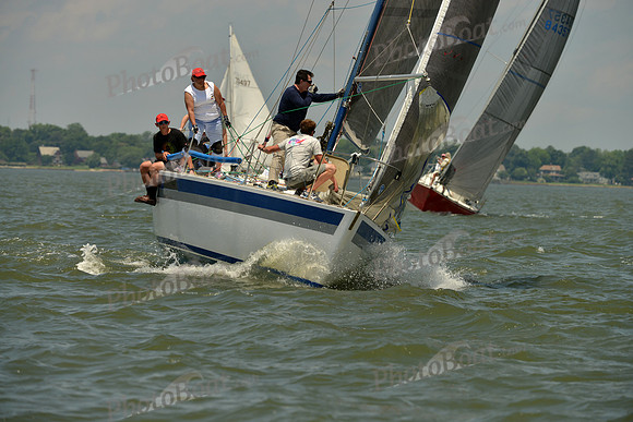 2016 Southern Bay Race Week F_1252