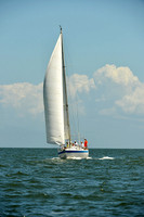 2015 Southern Bay Race Week C 1229