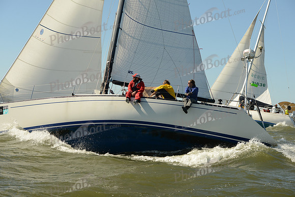 2016 Charleston Race Week E_0296