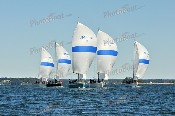 2010_AYC_FALL_3985