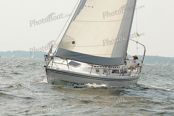 2012 Gov Cup A 362