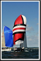 proof_2010_Vineyard_Race_0499
