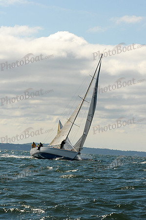 2010_AYC_Fall_B 1218