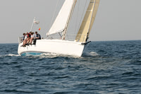 2010_NptBmda_2060