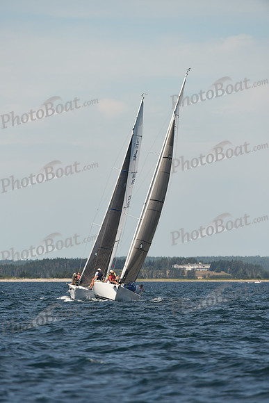 2016 Chester Race Week A_0323