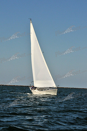 2010 Leukemia Cup 094