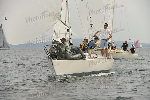 2016 Chester Race Week D_0227