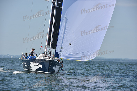 2019 Vineyard Race A_2517