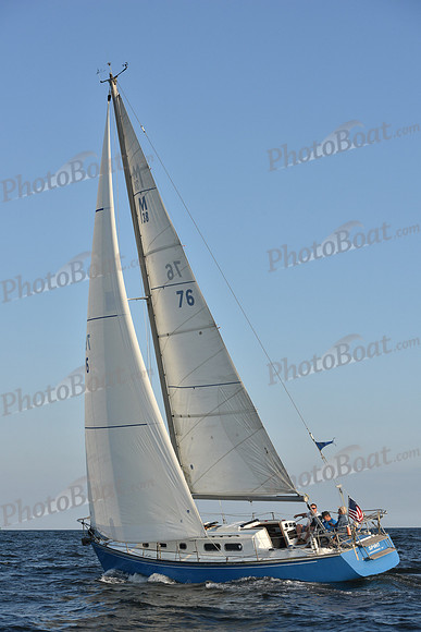 2019 ALIR_2477