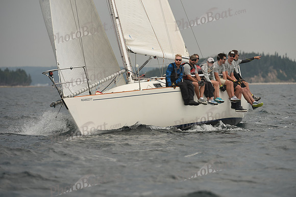 2016 Chester Race Week D_0484